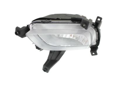 Kia 92201A7050 Front Fog Lamp Assembly, Left