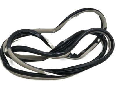 2009 Kia Sportage Weather Strip - 821101F000EZ