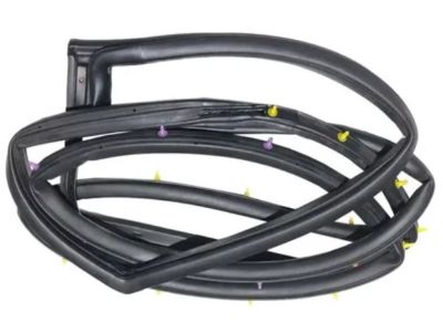 Kia 831402F000 WEATHERSTRIP Assembly-Rear Door Side