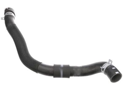 Kia 25410D9500 Hose Assembly-Radiator,Lower