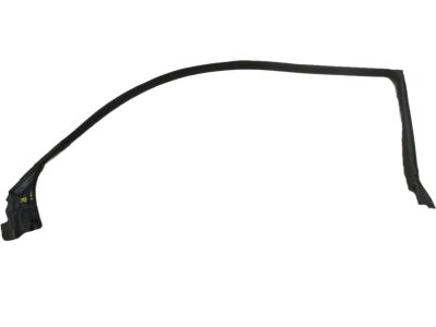 2012 Kia Forte Koup Weather Strip - 821601M200