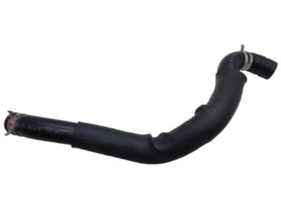 2020 Kia Sorento Radiator Hose - 25410C5500