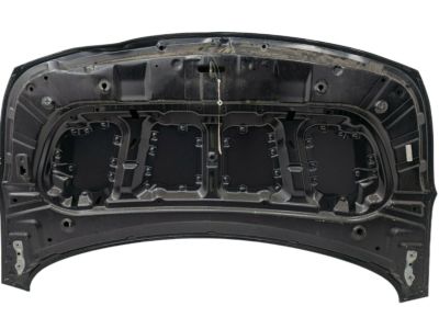 Kia 66400A7600 Panel Assembly-Hood