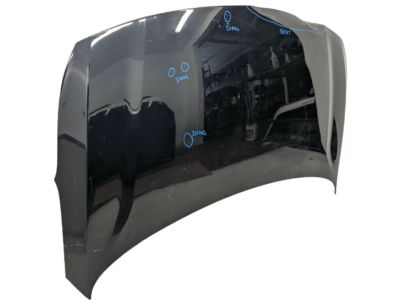 Kia 66400A7600 Panel Assembly-Hood