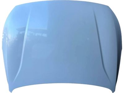 Kia Cadenza Hood - 66400F6000