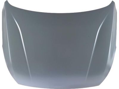 Kia Cadenza Hood - 66400F6000