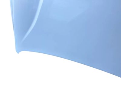 Kia Cadenza Hood - 66400F6000