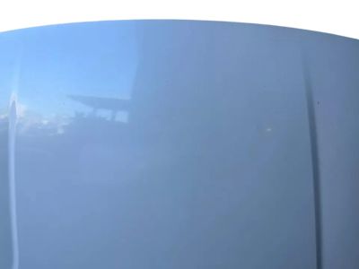 Kia Cadenza Hood - 66400F6000