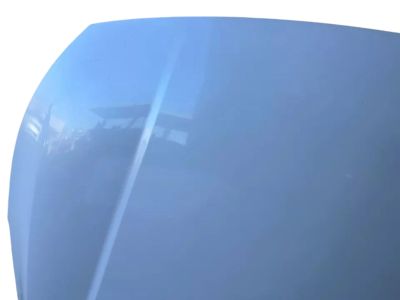 Kia Cadenza Hood - 66400F6000