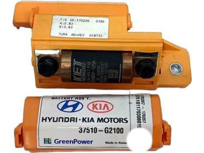 Kia 375F2G2120 Fuse-High Voltage 375F2G2120 Kia Fuse-High Voltage Product Photo 1 of 3