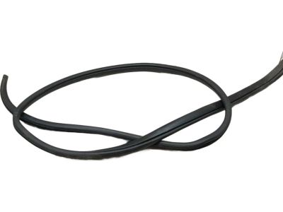 831101M000 Kia Rear Door Body Side Weatherstrip Left Hand Product Photo 5 of 5