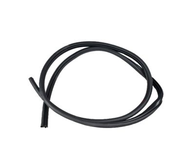 Kia 831101M000 Rear Door Body Side Weatherstrip Left Hand 831101M000 Kia Rear Door Body Side Weatherstrip Left Hand Product Photo 1 of 5