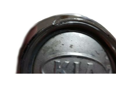Kia 529603E060