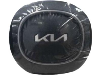 Kia 80100P2600WK