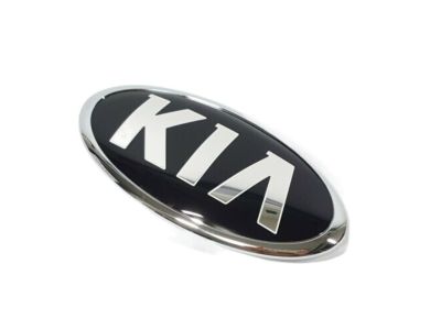 Kia 863202P550