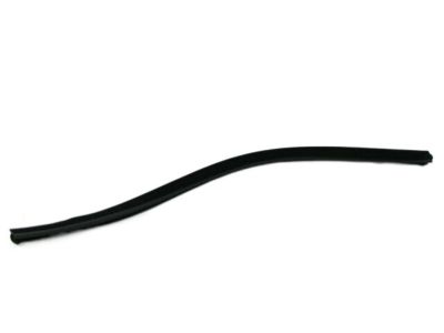 Kia 822412P000 WEATHERSTRIP-Front Door Belt Inside