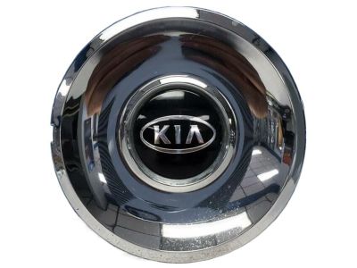 Kia 529603C110