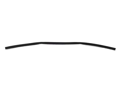 Kia 864352T000 Strip Assembly-Hood Seal