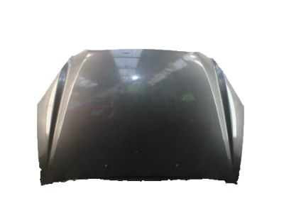 2009 Kia Rondo Hood - 664001D010