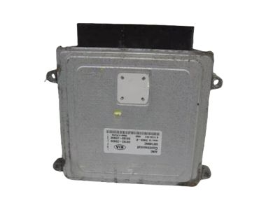 Kia 3918023830