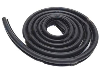 Kia Spectra SX Weather Strip - 821302F000