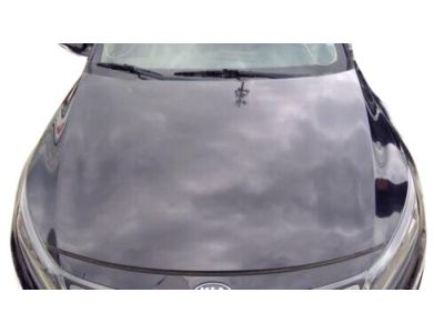 2013 Kia Optima Hybrid Hood - 664002T000