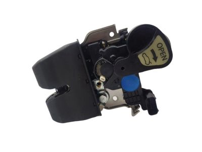 2015 Kia K900 Tailgate Lock - 812303T010