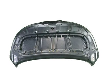 2023 Kia Carnival Hood - 66400R0040