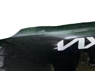 2023 Kia Carnival Hood - 66400R0040