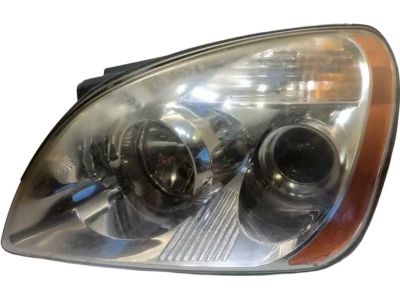 2010 Kia Rondo Headlight - 921011D030