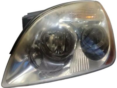 2010 Kia Rondo Headlight - 921011D030