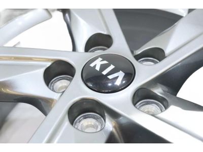 Kia 52910L3110