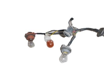 Kia 924193E030 Bulb Holder & Wiring Assembly