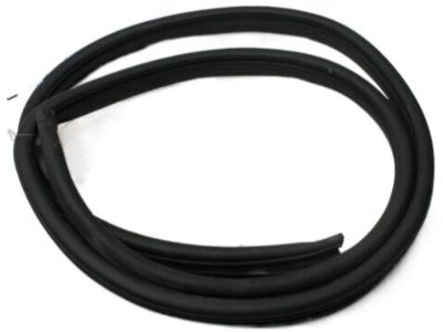 Kia Rio Weather Strip - 831201W200