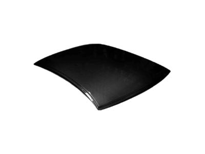 Kia 816133E010 Weatherstrip-Sunroof Glass