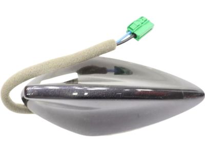 Kia Carnival Antenna Mast - 96210R0100P2M