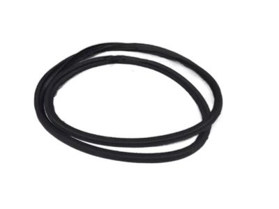 Kia Soul EV Weather Strip - 87321B2000