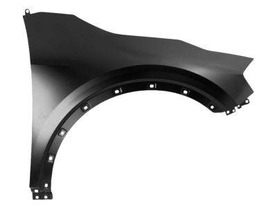 Kia Sportage Fender - 66321DW000