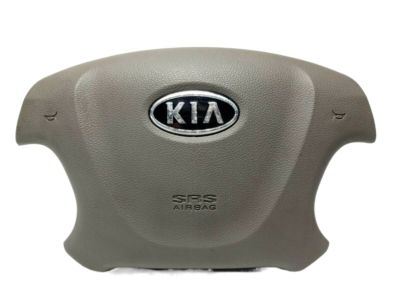 Kia 569004D700BQ