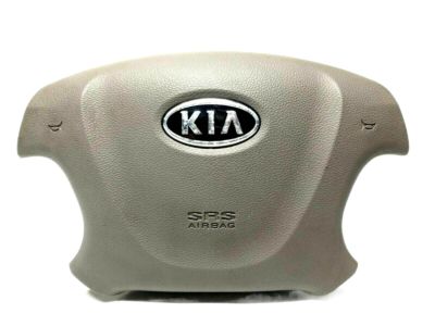 2013 Kia Sedona Air Bag - 569004D700BQ