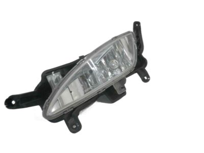 Kia 922012T010 Front Fog Lamp Assembly, Left