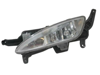 Kia 922012T010 Front Fog Lamp Assembly, Left