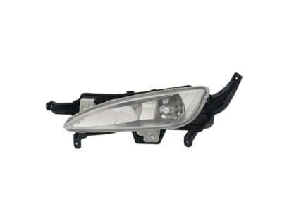 Kia 922012T010 Front Fog Lamp Assembly, Left