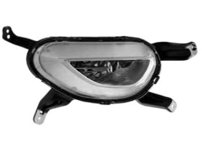 2016 Kia Cadenza Fog Light - 922013R510