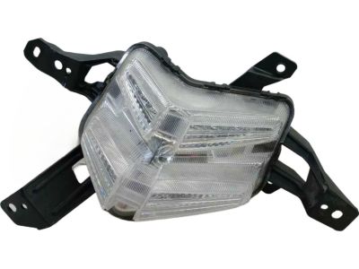 Kia Fog Light - 92207G5500