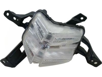 Kia Fog Light - 92207G5500