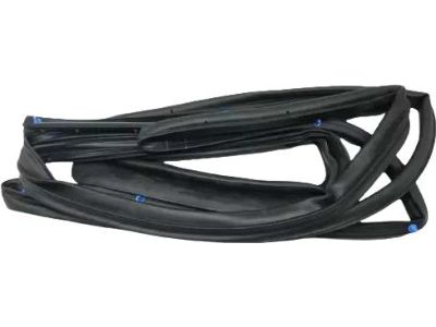 83140D9000 Kia Rear Door Side Weatherstrip Assembly Product Photo 1 of 2