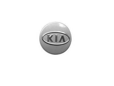 Kia 529601D100