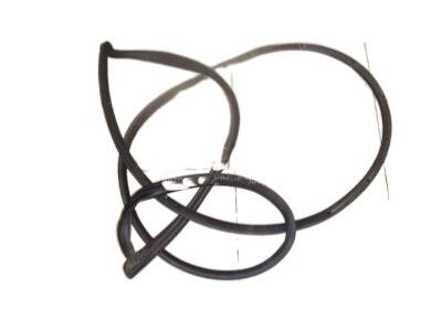 Kia 831402K001 WEATHERSTRIP Assembly-Rear Door Side