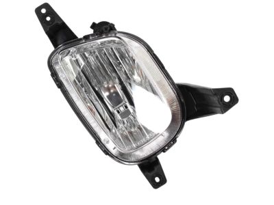 Kia 92202A9010 Front Fog Lamp Assembly, Right